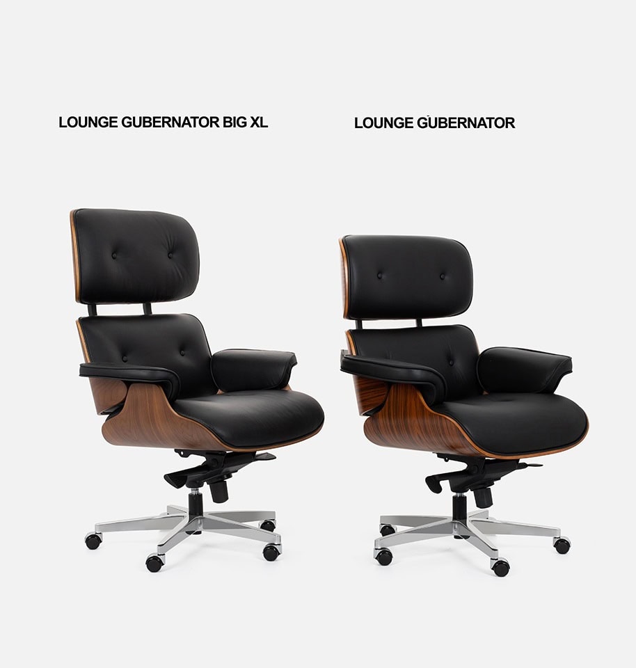 KH1501100106_gubernator_xl_1_1 (2)